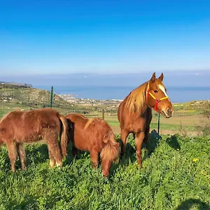 Appartamento Panoramica Sul Mare, Valderice